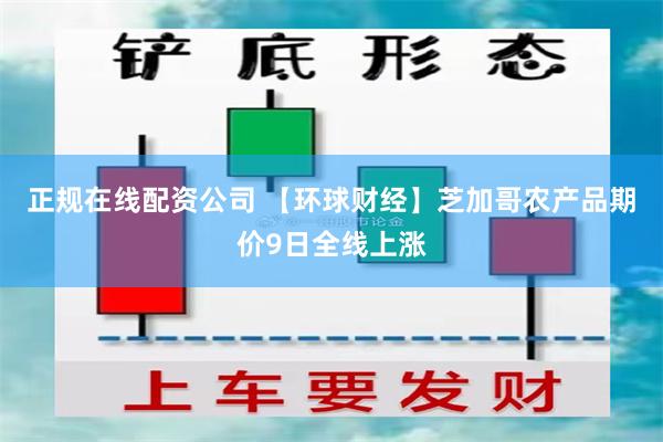 正规在线配资公司 【环球财经】芝加哥农产品期价9日全线上涨