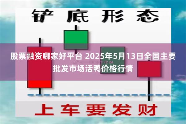 股票融资哪家好平台 2025年5月13日全国主要批发市场活鸭价格行情