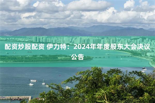 配资炒股配资 伊力特：2024年年度股东大会决议公告