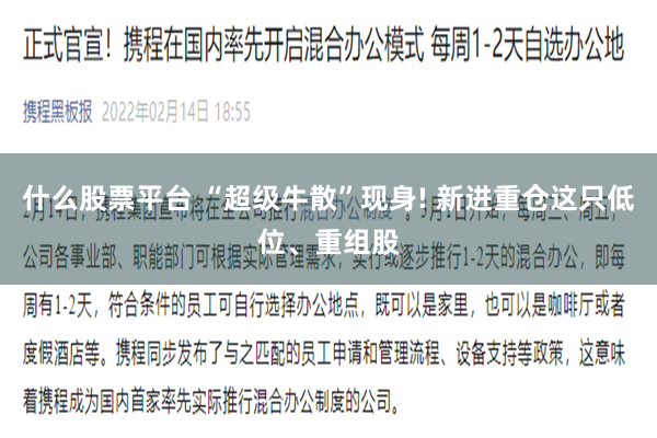 什么股票平台 “超级牛散”现身! 新进重仓这只低位、重组股