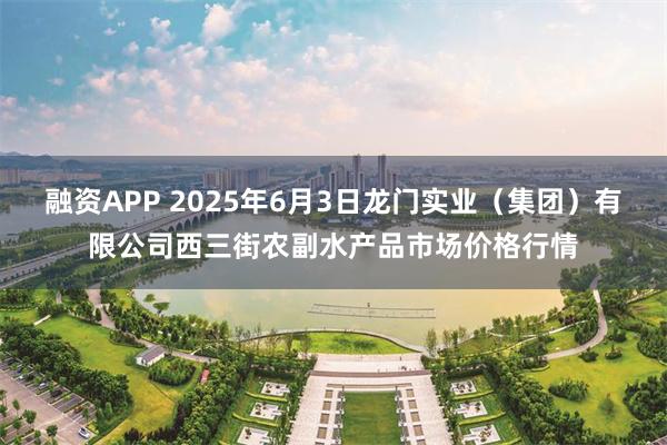 融资APP 2025年6月3日龙门实业（集团）有限公司西三街农副水产品市场价格行情