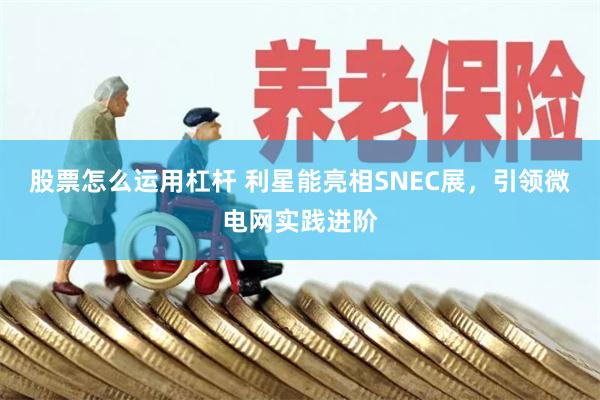 股票怎么运用杠杆 利星能亮相SNEC展，引领微电网实践进阶