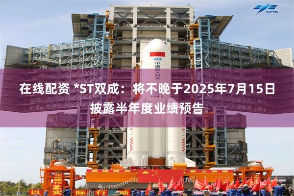 在线配资 *ST双成：将不晚于2025年7月15日披露半年度业绩预告