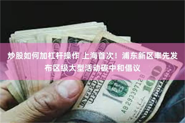 炒股如何加杠杆操作 上海首次！浦东新区率先发布区级大型活动碳中和倡议